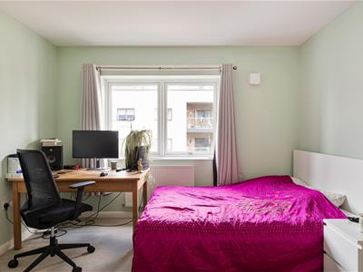 Picture 9